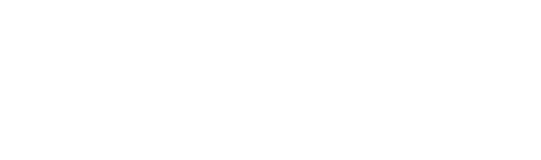 VSP Auto